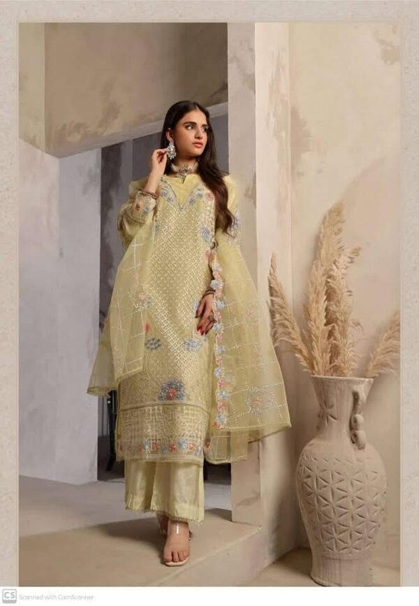 Guzel Roshni (Stitched Collection) - Image 3