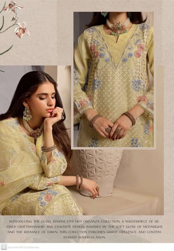 Guzel Roshni (Stitched Collection) - Image 2