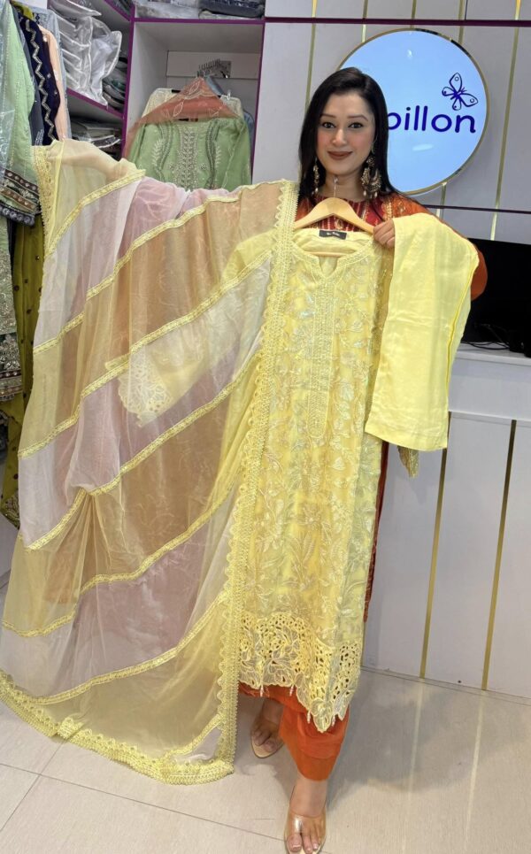 NAU BAHAR (stitched) organza & chiffon collection - Image 19