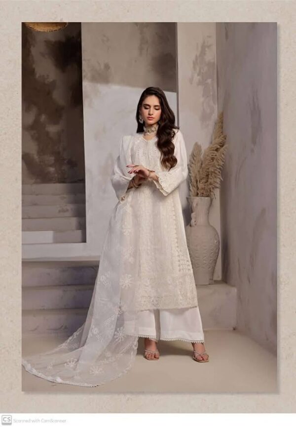 Guzel Roshni (Stitched Collection) - Image 5