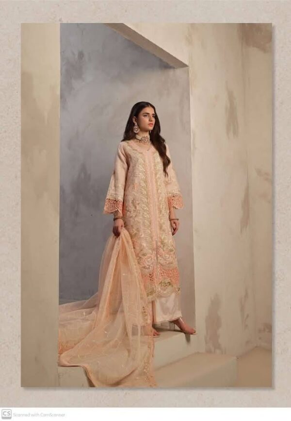Guzel Roshni (Stitched Collection) - Image 7