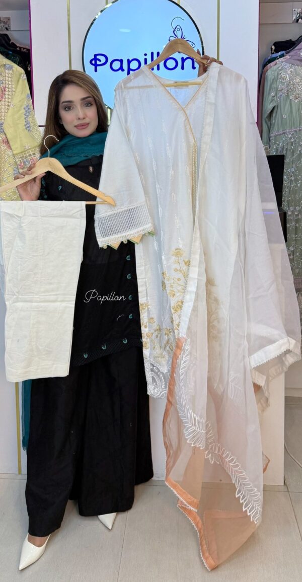 *Zarqun Zahra Rubab*