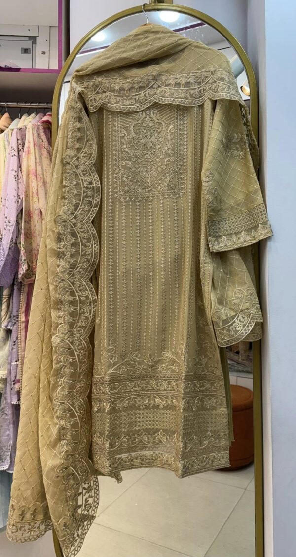 NAU BAHAR (stitched) organza & chiffon collection - Image 6