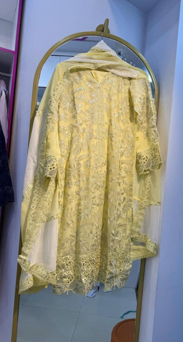 NAU BAHAR (stitched) organza & chiffon collection - Image 12