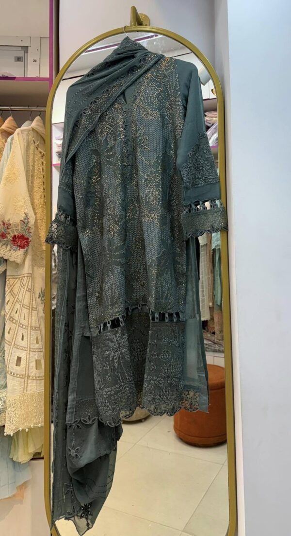NAU BAHAR (stitched) organza & chiffon collection - Image 14