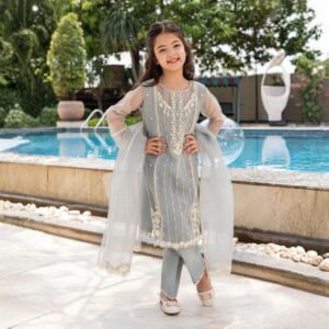 Allure Zarqun Organza