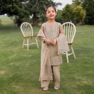 Allure Zarqun Organza Allure Zarqun Organza