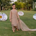 Allure Zarqun Organza