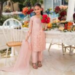 Allure Zarqun Organza