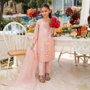 Allure Zarqun Organza