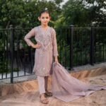 Allure Zarqun Organza